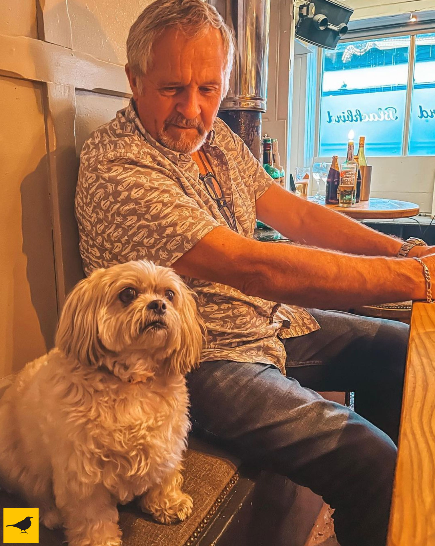 A True Dog-Friendly Pub!